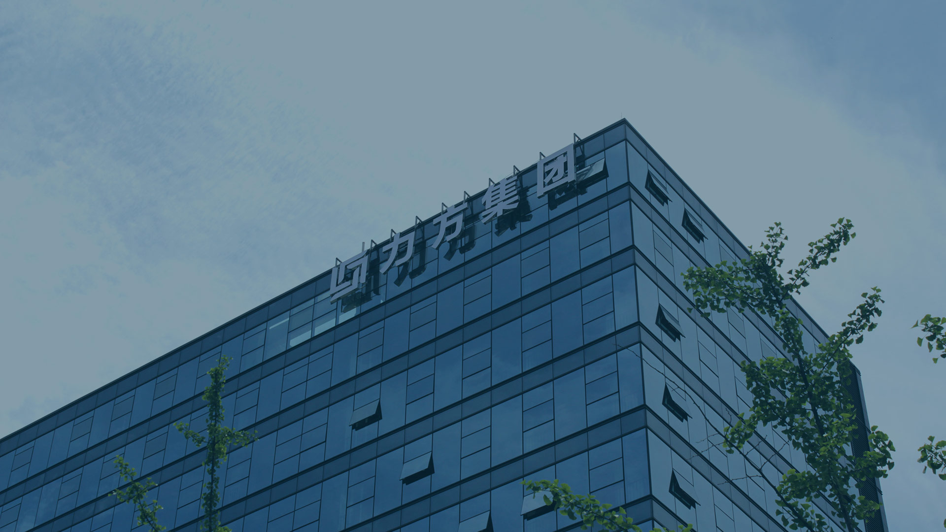 守护文化产业信息安全，天锐绿盾助力方国际