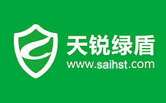 天锐绿盾——构建四大信息安全体系