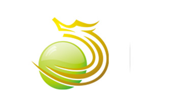 广东金禄科技股份有限公司
