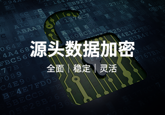 源头数据加密