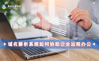 赛虎信息丨域名解析系统如何协助企业远程办公