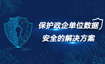 赛虎信息丨保护政企单位数据安全的解决方案