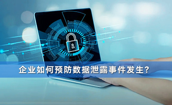 赛虎信息丨企业如何预防数据泄露事件发生？