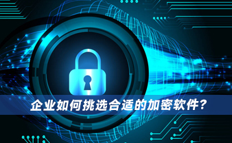 赛虎信息丨企业如何挑选合适的加密软件？