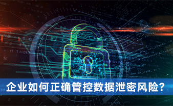 赛虎信息丨企业如何正确管控数据泄密风险？