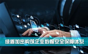 赛虎信息丨绿盾加密构筑企业数据安全保障体系