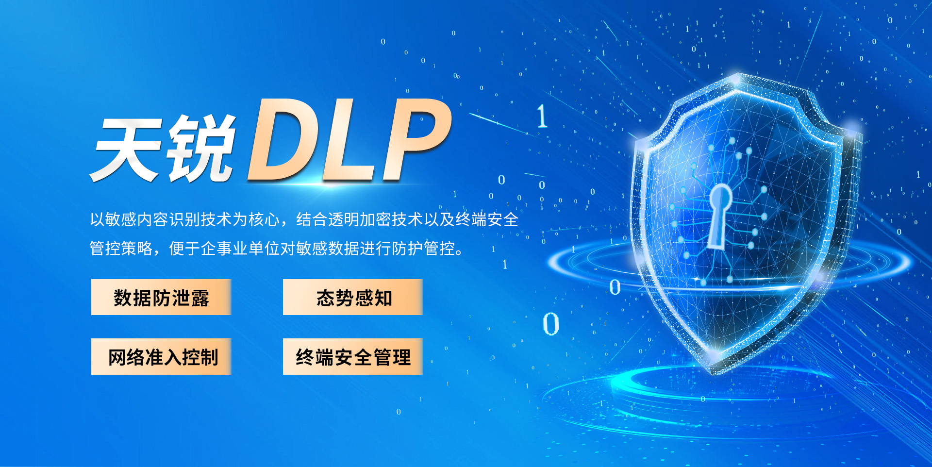 赛虎信息_天锐蓝盾DLP数据泄露防护系统解决方案
