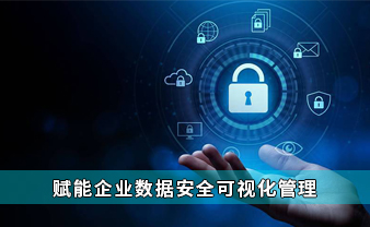 赛虎信息丨赋能企业数据安全可视化管理