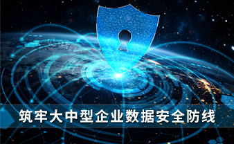 赛虎信息丨筑牢大中型企业数据安全防线