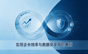 赛虎信息｜实现企业效率与数据安全双向兼顾