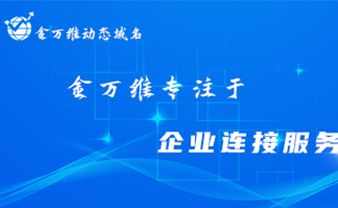 金万维动态域名商业版丨企业商业应用的最佳选
