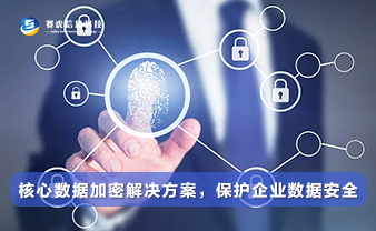 赛虎信息丨核心数据加密解决方案，保护企业数